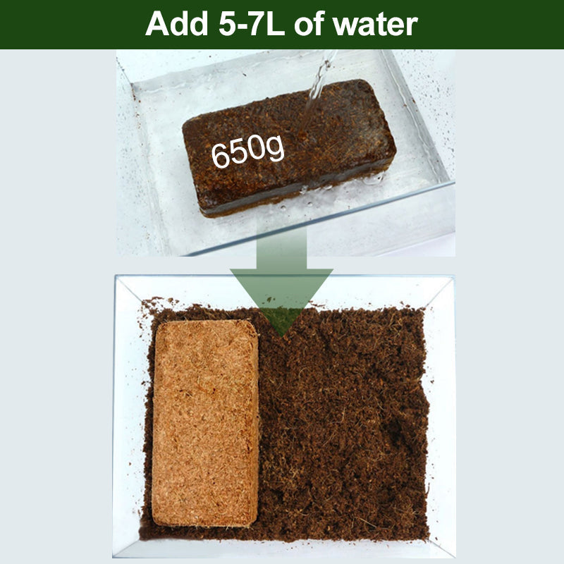 HydroGrow - Optimal Moisture for Healthy Plants