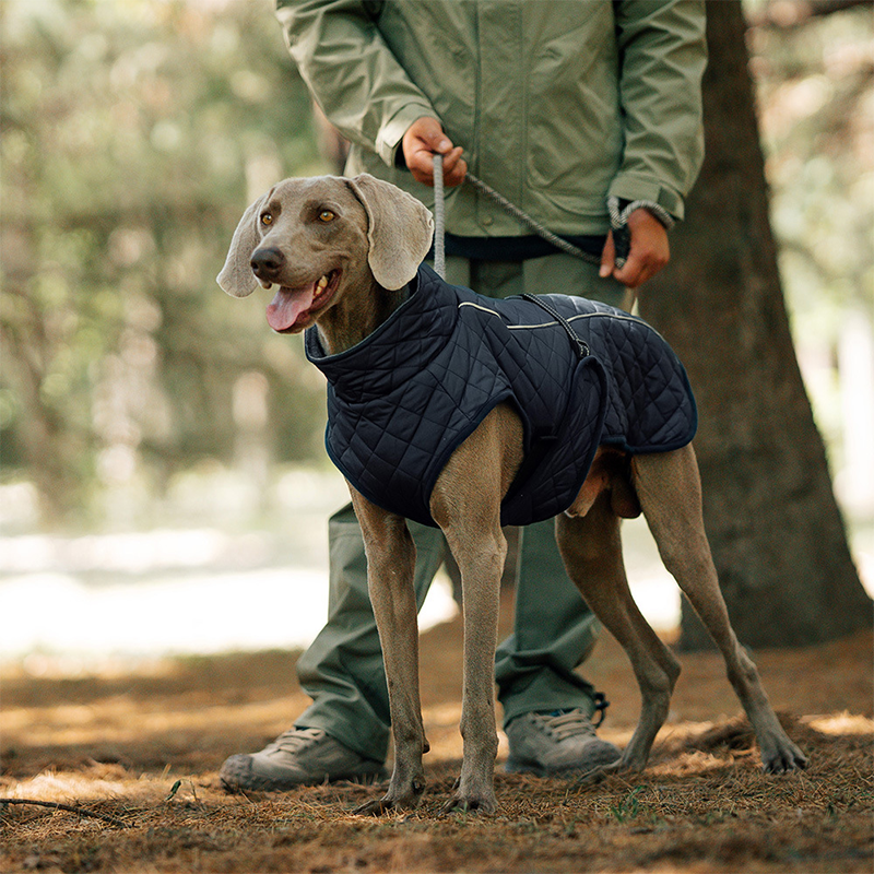 Dog Winter Coat – For warm and safe walks