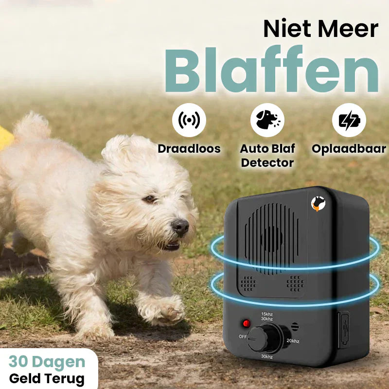 HundeHarmony Noise-Free Anti-Bark System | Create a Peaceful Atmosphere