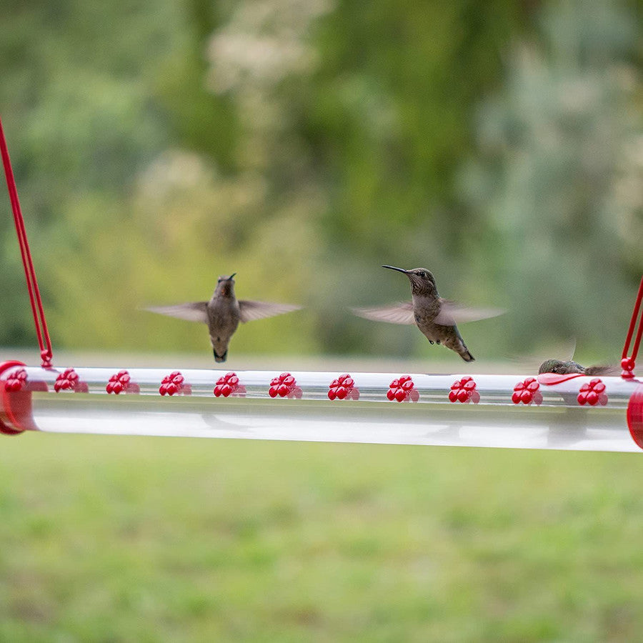 Kolibri-Futterspender für den Garten – HummingNest