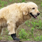 Wasserdichte Hundeschuhe für Abenteuer in der Natur