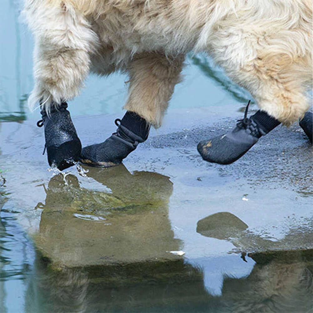 Wasserdichte Hundeschuhe für Abenteuer in der Natur