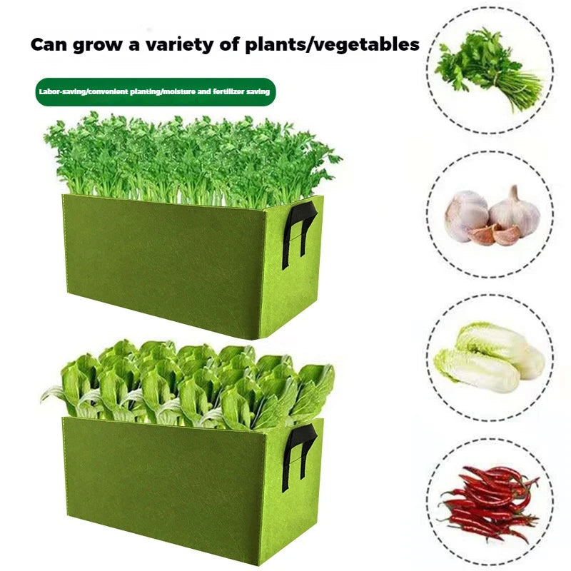 Flexible Felt Plant Pot | Practical Carrying Handles | 6–31 Gallons