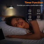 Light Accent Deluxe | Perfectly showcase your artworks