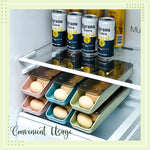 EggSecure – The innovative solution for egg storage