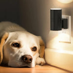 LumiFlex - Adaptable Plug-in Light for an Atmospheric Night