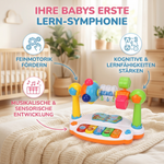 5in1 Lernspielzeug für Babys mit musikalischen Funktionen