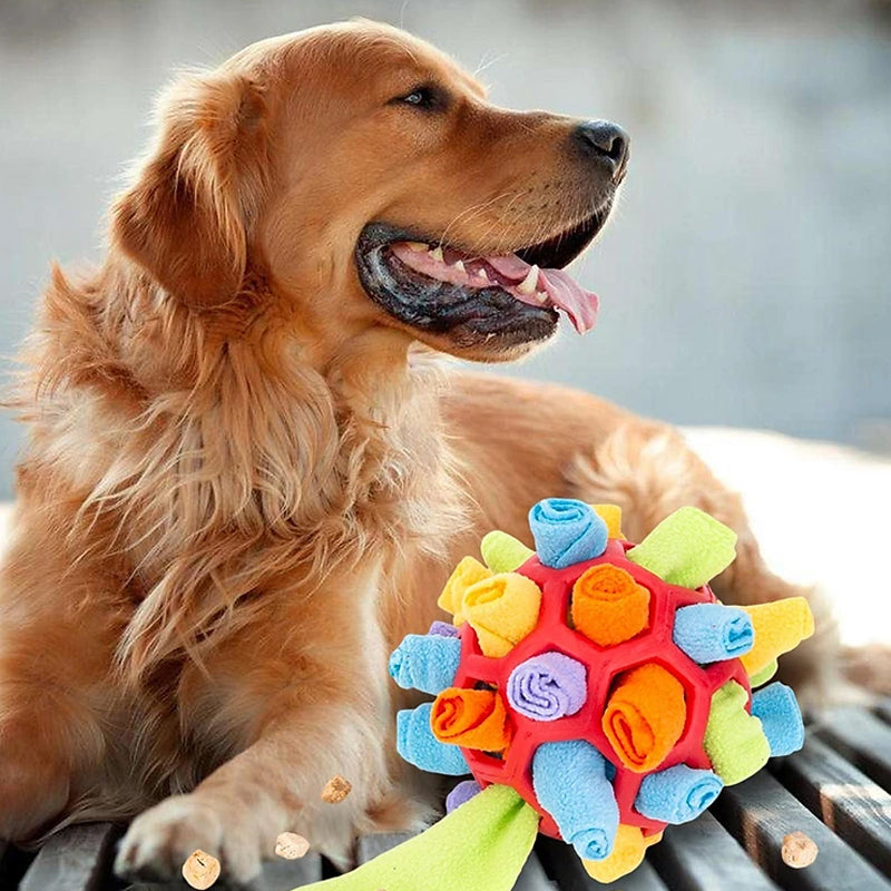 SnuffelBall | Interaktives Spielzeug für Hunde
