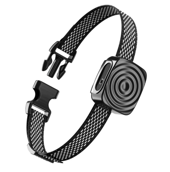Smart training collar for small dogs