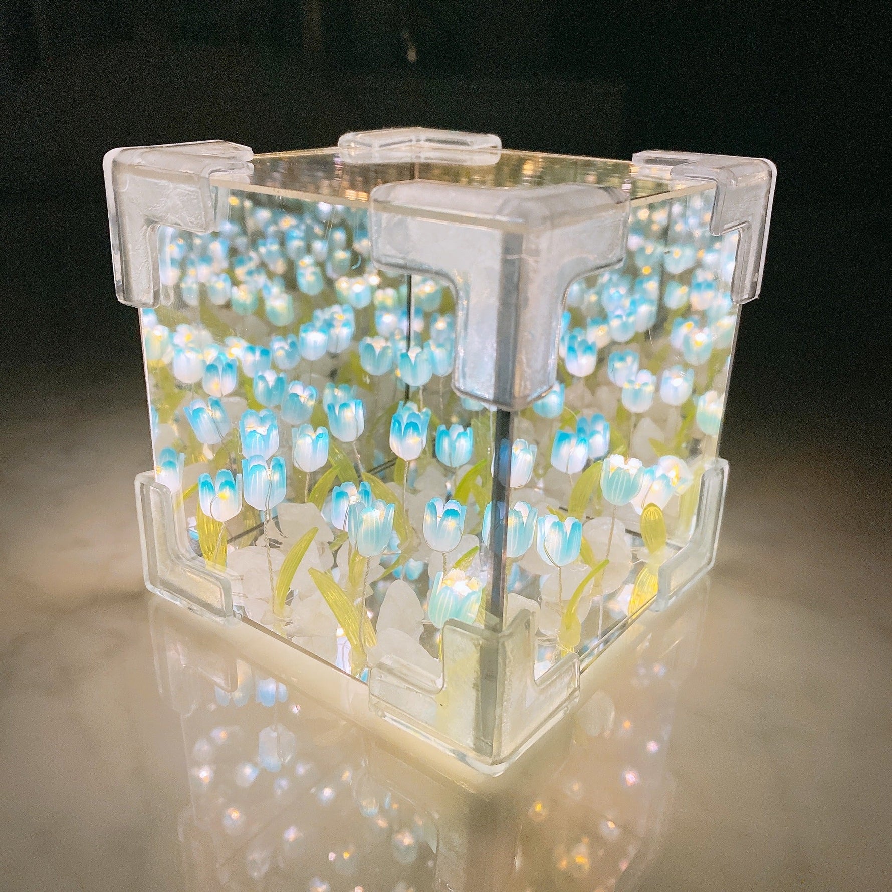 Zauberhafte Tulpenlampe – Blossom Box