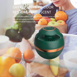 Air Purifier for Refrigerators – Compact Ozone Technology
