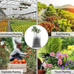 GrünWuchs 100 Organic Seedling Bags | Sustainable Plant Care | Reusable Pots for Indoor and Garden