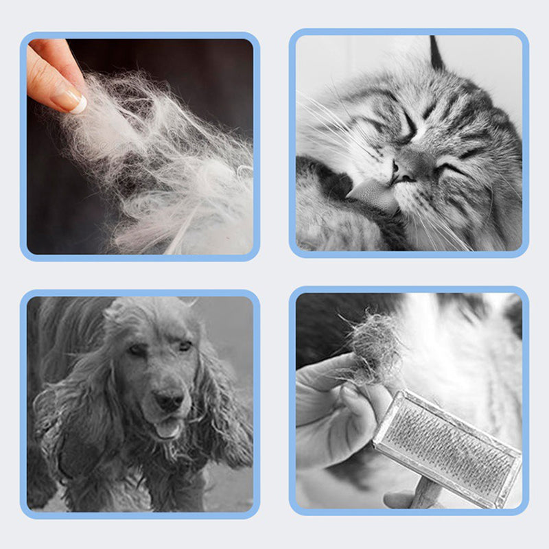 Pet Hair-Free – The perfect comb for a clean home