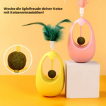 Interaktives Katzenminze-Spielzeug für gesunde Aktivitäten