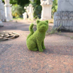 Vibrant Garden Decor - Transform Your Outdoor Space!