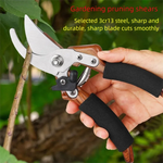 GartenProfi Premium Garden Shears 20.5 cm | Ergonomic & Sharp | Perfect for Plants, Flowers & Fruit