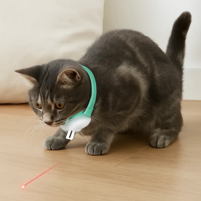 Interaktives Laser-Spielhalsband für Katzen – Spaß ohne Aufsicht