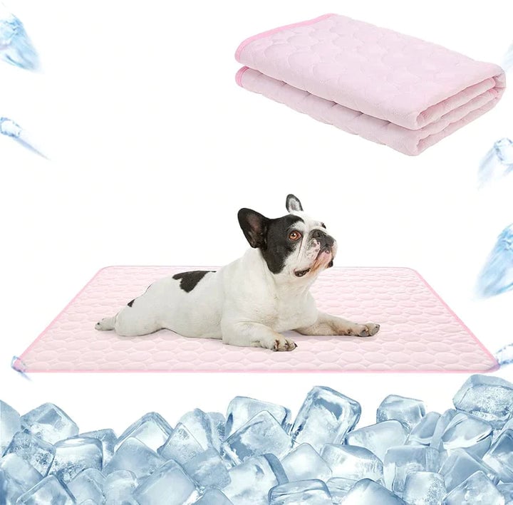 CoolPaws - Keep Your Dog Fresh and Relaxed All Day Long