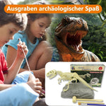DinoEntdecker | Fossilien-Ausgrabungsset für Kinder