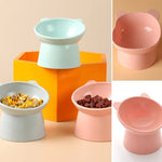 Ergonomic Cat Food Bowl