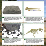 DinoEntdecker | Fossilien-Ausgrabungsset für Kinder