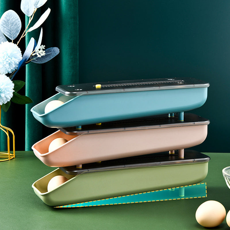 EggSafe – Secure Egg Holder with Space Optimization