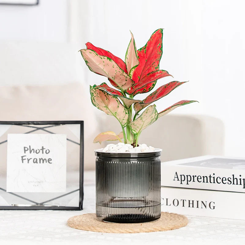 Plant care made easy – The smart self-watering pot