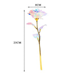 10 Stück Ewige Glanzrosen LumiRose