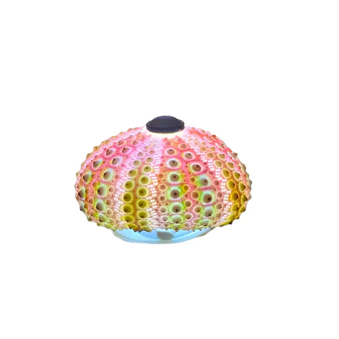 Selbstgemachte Igel-Nachtlampe CoastalGlow