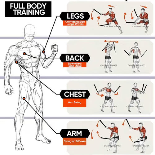 Kraftseile mit Gewichtsfedern – Kompakter Ganzkörper-Workout