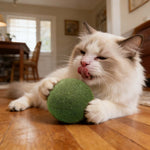 Catnip Balls for Playful Dental Care