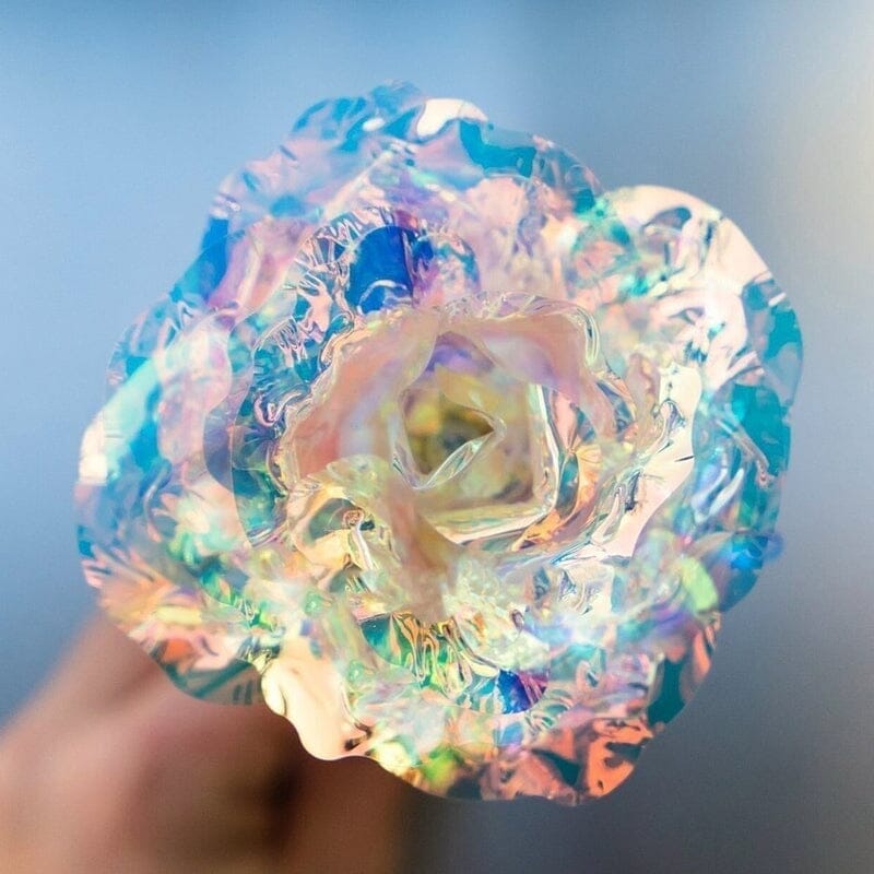 Bunte Galaxie Rose