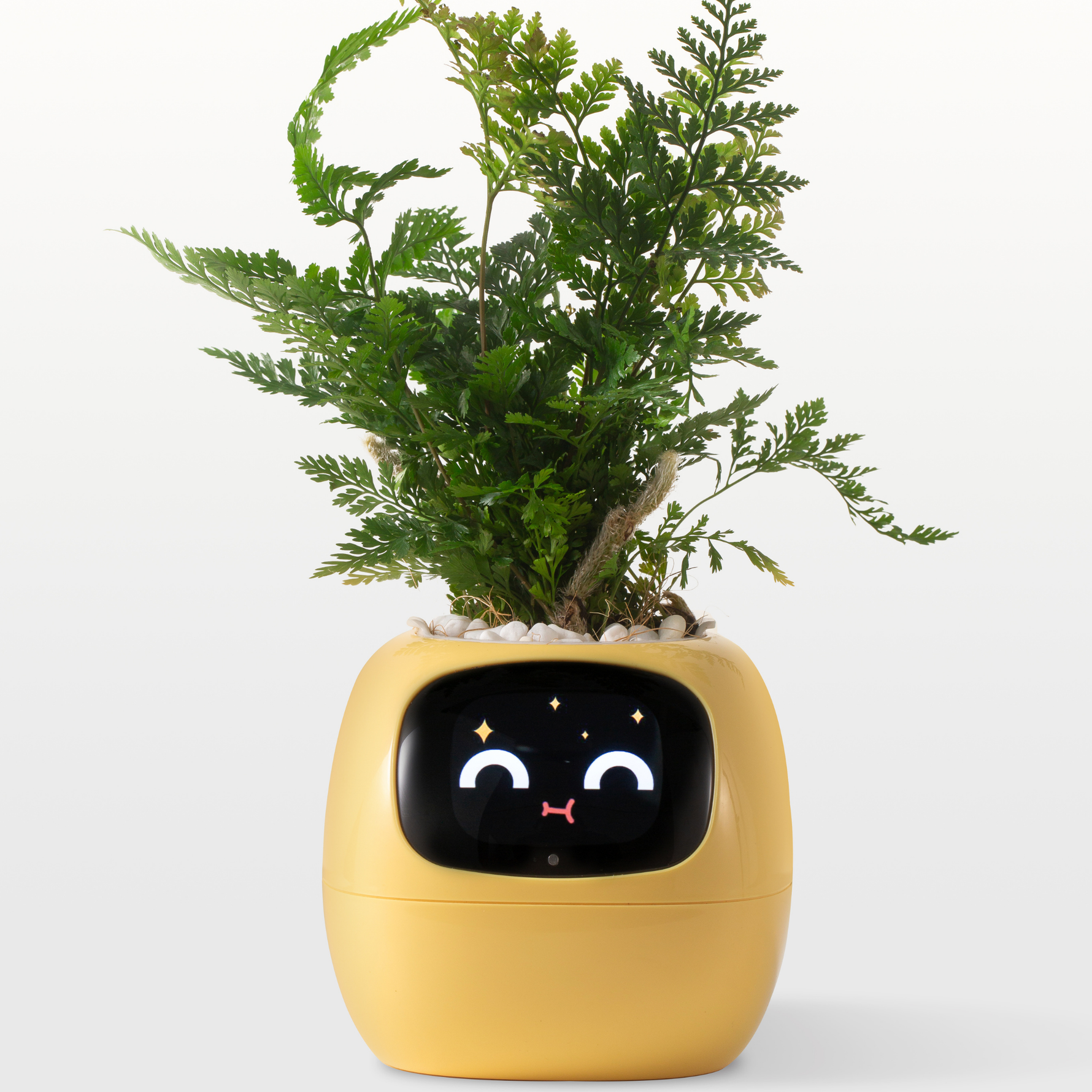 EmojiPot | Playful Flower Pot for Any Room