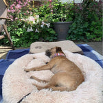 Beruhigendes Hundebett für entspannte Nächte