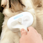 Dampf-Bürste für Hunde – Sanfte Pflege für jedes Fell