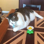 Katzenfreude | Interaktives Spielzeug für Ihre Katze