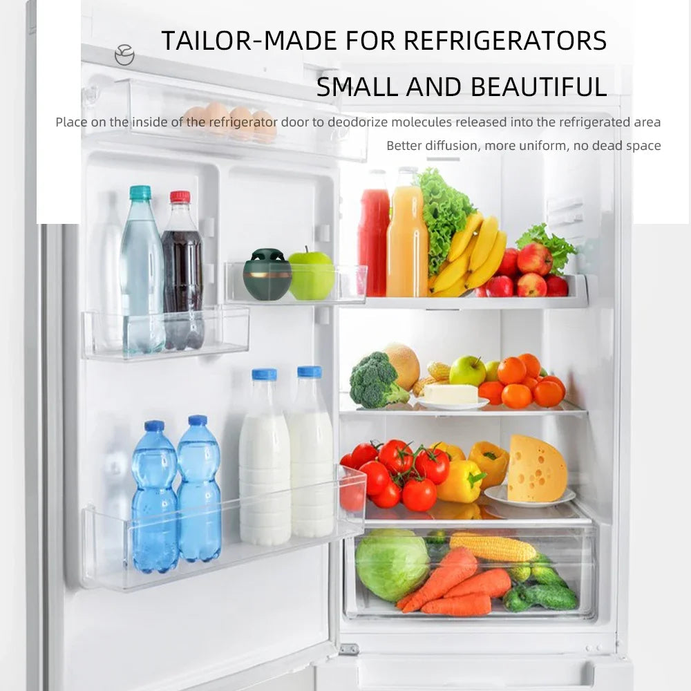 Air Purifier for Refrigerators – Compact Ozone Technology