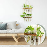 Wall Blooms – Transform Your Walls into Living Art