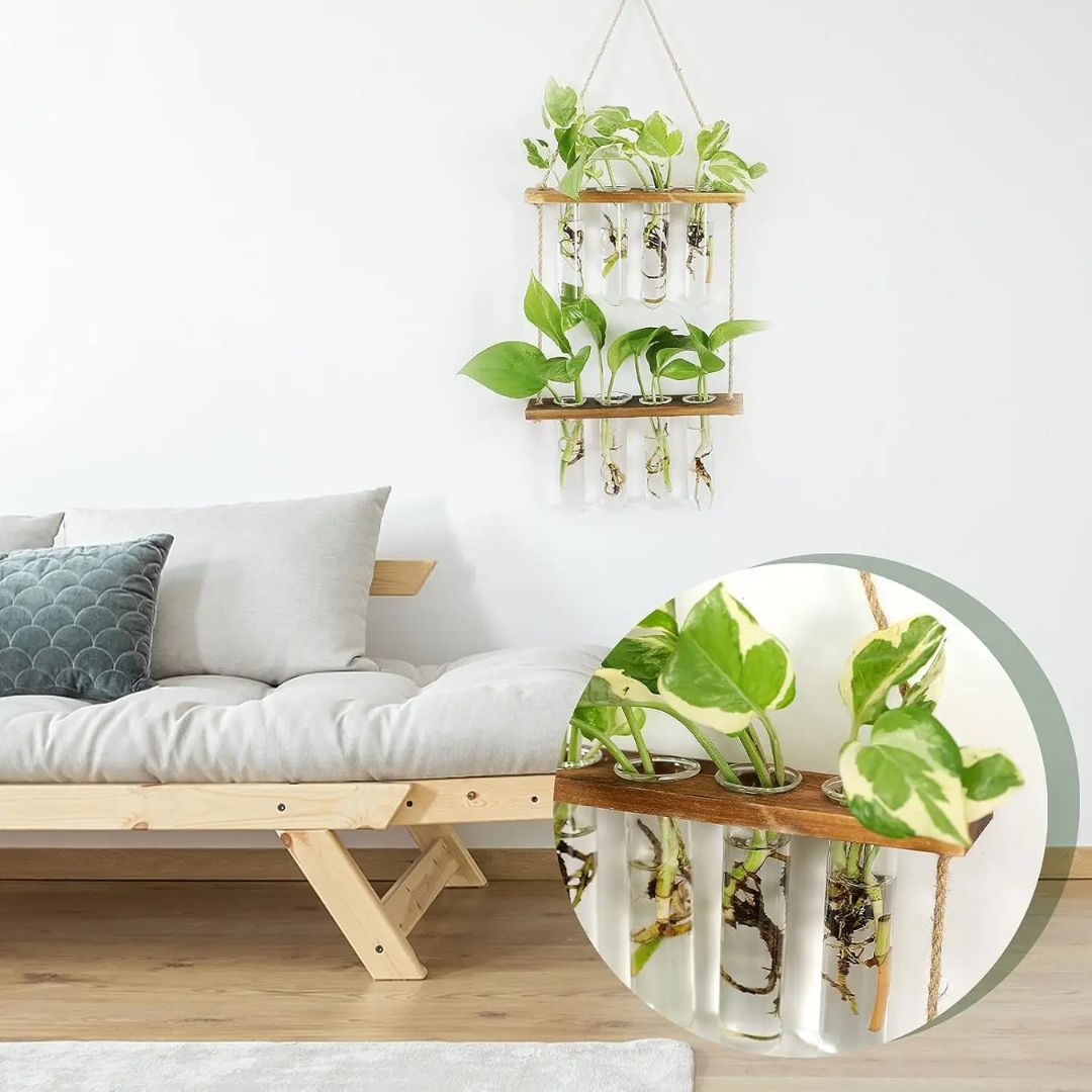 Wall Blooms – Transform Your Walls into Living Art