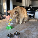 Katzenfreude | Interaktives Spielzeug für Ihre Katze
