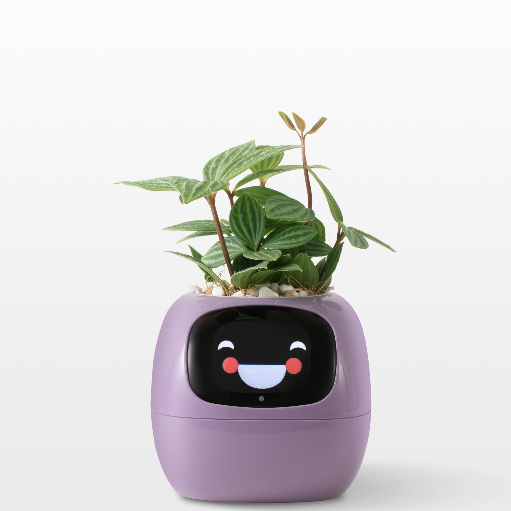 EmojiPot | Playful Flower Pot for Any Room