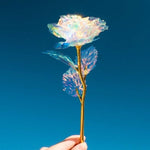 Bunte Galaxie Rose