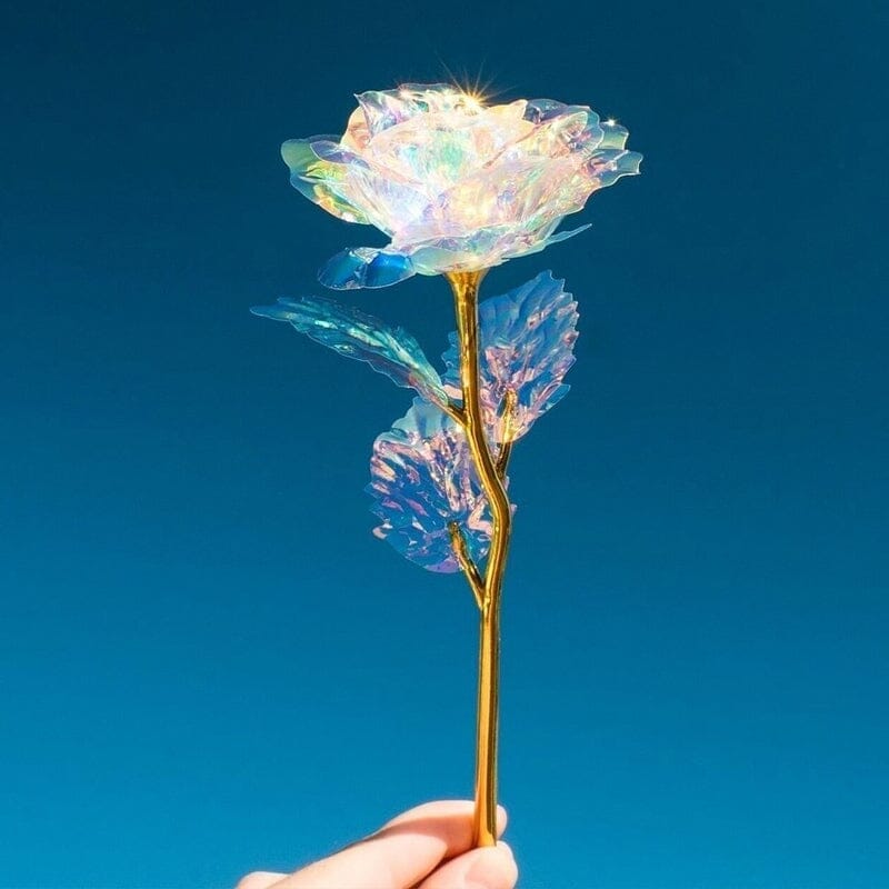 Bunte Galaxie Rose
