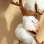 Exquisite Cotton Bed Linen Set for Supreme Sleeping Comfort