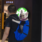 Hunderrucksack – Bequeme Tragetasche für mittelgroße Hunde mit Sicherheitsgurt und Stauraumtaschen