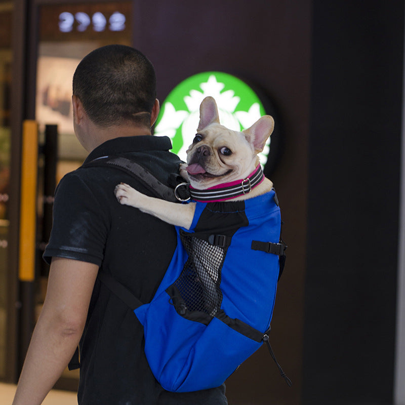 Hunderrucksack – Bequeme Tragetasche für mittelgroße Hunde mit Sicherheitsgurt und Stauraumtaschen
