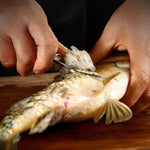 Vielseitiges 5-in-1 Fisch- und Garnelenwerkzeug | MeeresProfi