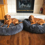 Beruhigendes Hundebett für entspannte Nächte