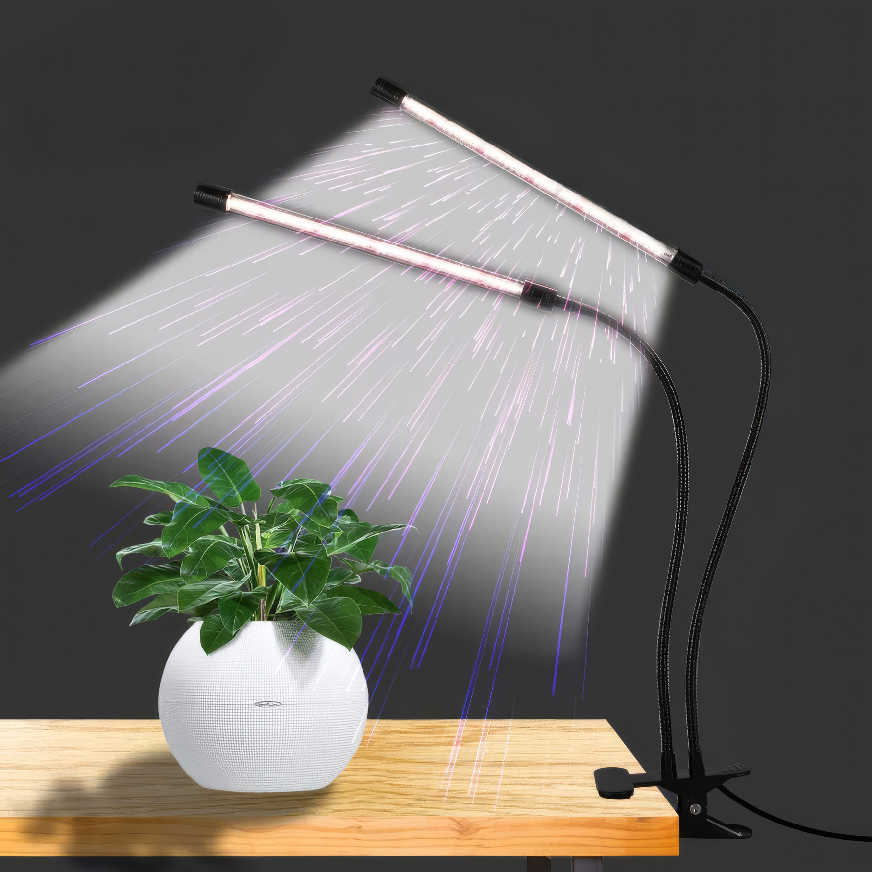LumiGrow – Effizientes LED-Wachstumslicht für Ihre Pflanzen