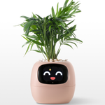 EmojiPot | Playful Flower Pot for Any Room